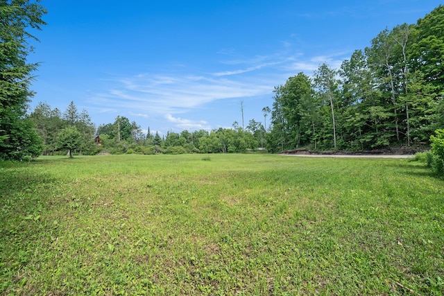 9596 Meyers Rd, Wolverine, MI 49799 - photo 13