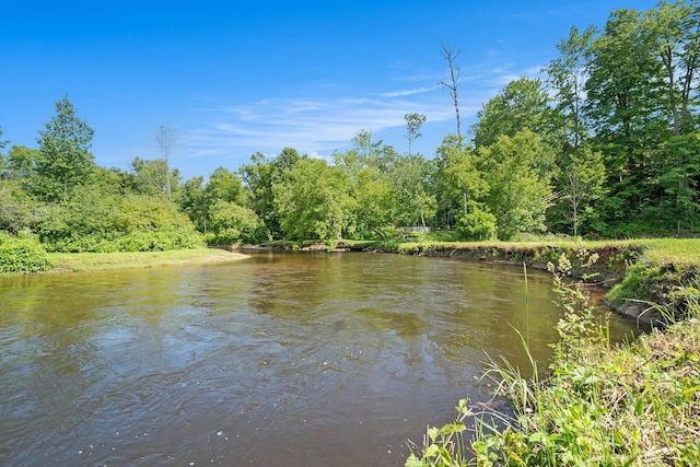 9596 Meyers Rd, Wolverine, MI 49799 - photo 1