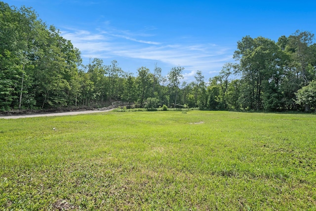 9596 Meyers Rd, Wolverine, MI 49799 - photo 14