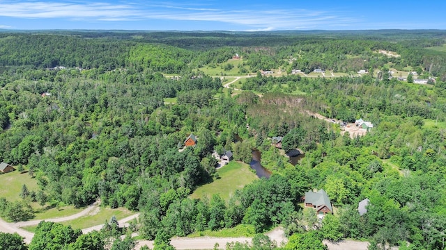 9596 Meyers Rd, Wolverine, MI 49799 - photo 17