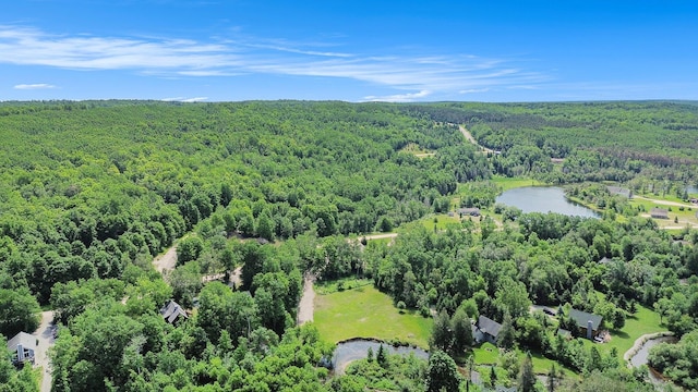 9596 Meyers Rd, Wolverine, MI 49799 - photo 20