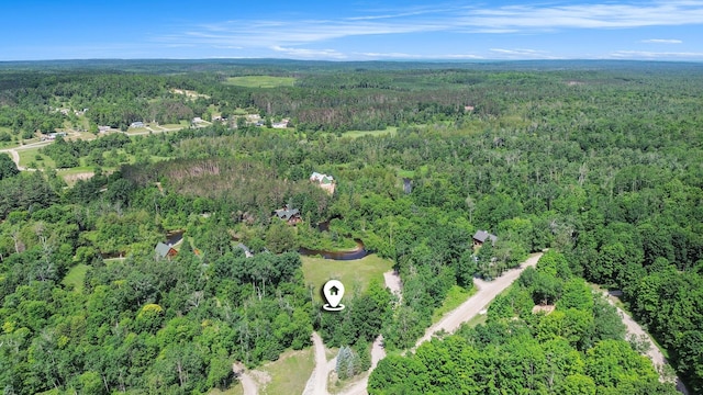 9596 Meyers Rd, Wolverine, MI 49799 - photo 23