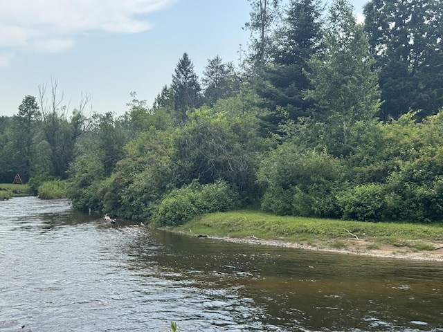 9596 Meyers Rd, Wolverine, MI 49799 - photo 5