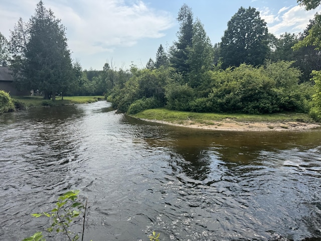 9596 Meyers Rd, Wolverine, MI 49799 - photo 24
