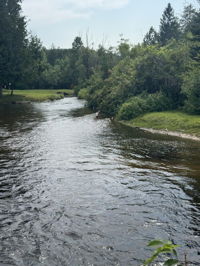 9596 Meyers Rd, Wolverine, MI 49799 - photo 6