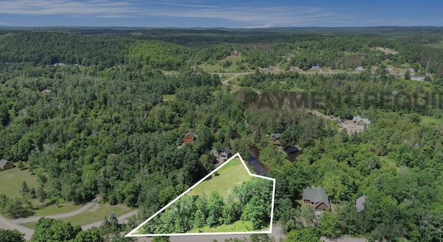 9596 Meyers Rd, Wolverine, MI 49799 - photo 26
