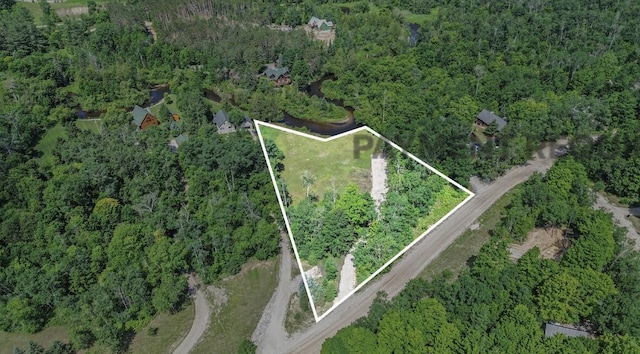 9596 Meyers Rd, Wolverine, MI 49799 - photo 3