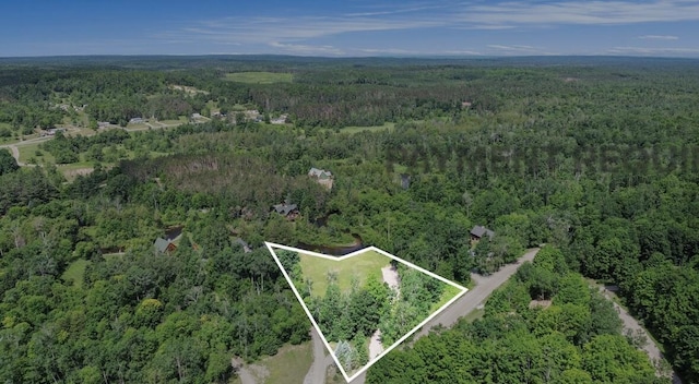 9596 Meyers Rd, Wolverine, MI 49799 - photo 27