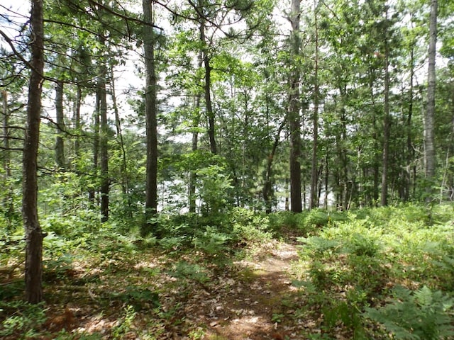 1830 Dollar Lk Rd, Lewiston, MI 49756