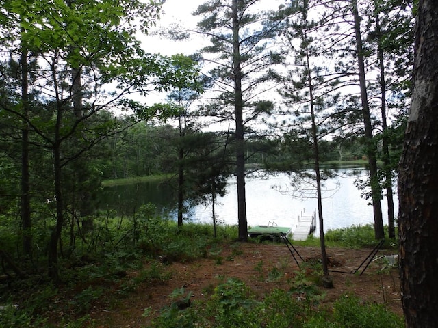 1830 Dollar Lk Rd, Lewiston, MI 49756