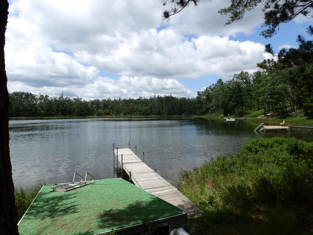 1830 Dollar Lk Rd, Lewiston, MI 49756