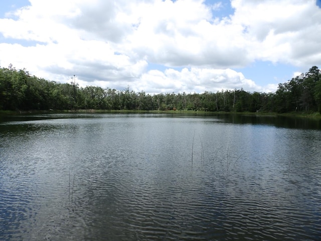 1830 Dollar Lk Rd, Lewiston, MI 49756