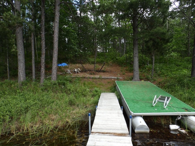 1830 Dollar Lk Rd, Lewiston, MI 49756
