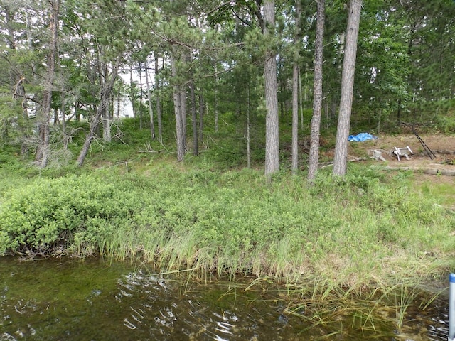 1830 Dollar Lk Rd, Lewiston, MI 49756