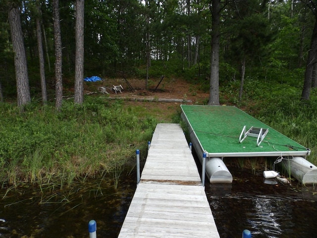 1830 Dollar Lk Rd, Lewiston, MI 49756