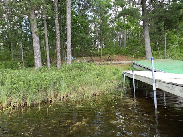 1830 Dollar Lk Rd, Lewiston, MI 49756