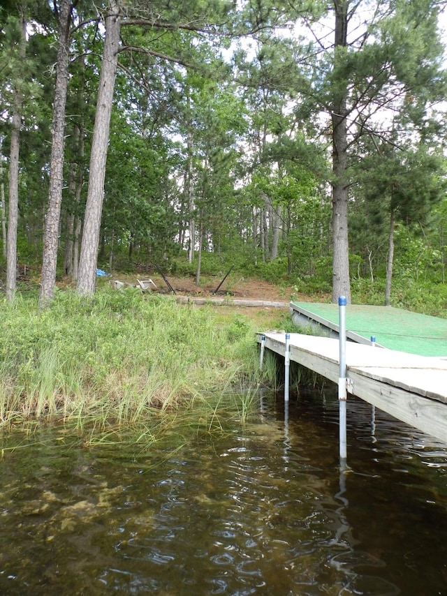 1830 Dollar Lk Rd, Lewiston, MI 49756