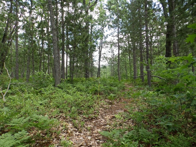 1830 Dollar Lk Rd, Lewiston, MI 49756