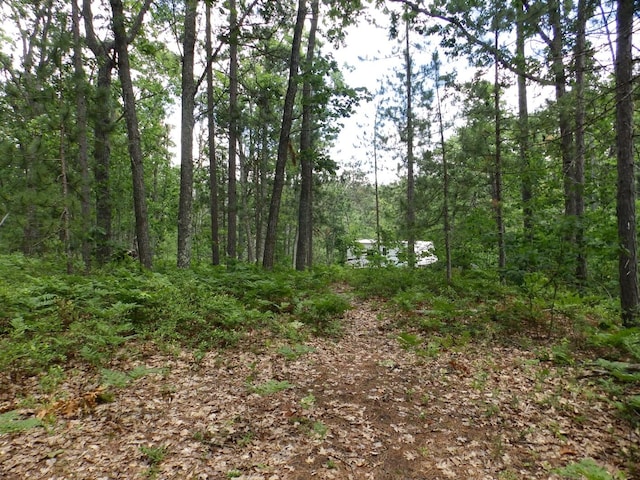 1830 Dollar Lk Rd, Lewiston, MI 49756