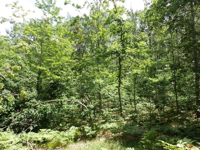 1830 Dollar Lk Rd, Lewiston, MI 49756