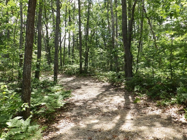 1830 Dollar Lk Rd, Lewiston, MI 49756