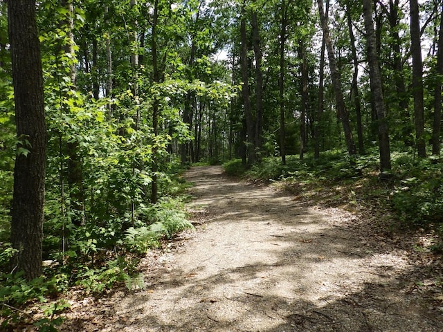 1830 Dollar Lk Rd, Lewiston, MI 49756