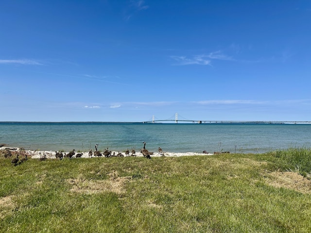 914 Lakeside Dr, Mackinaw City, MI 49701 - photo 19