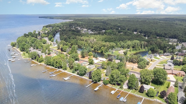 319 Old Trl, Houghton Lake, MI 48629 - aerial view of property's location with a nearby body of water and a heavily wooded area
