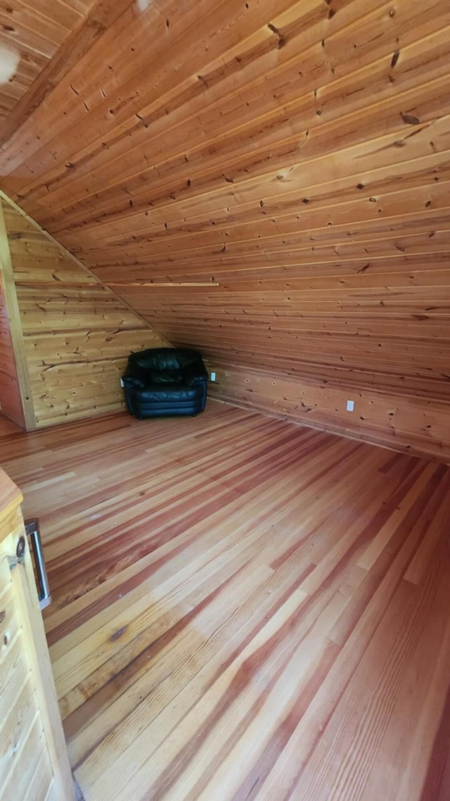 1025 Lake Side Trl, Barton City, MI 48705 - detailed view of a sauna / steam room, wood finished floors, and wood walls
