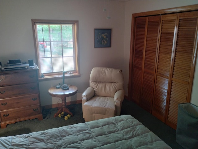 19241 Pine Tree Ct, Hillman, MI 49746 - carpeted bedroom with a closet and baseboards
