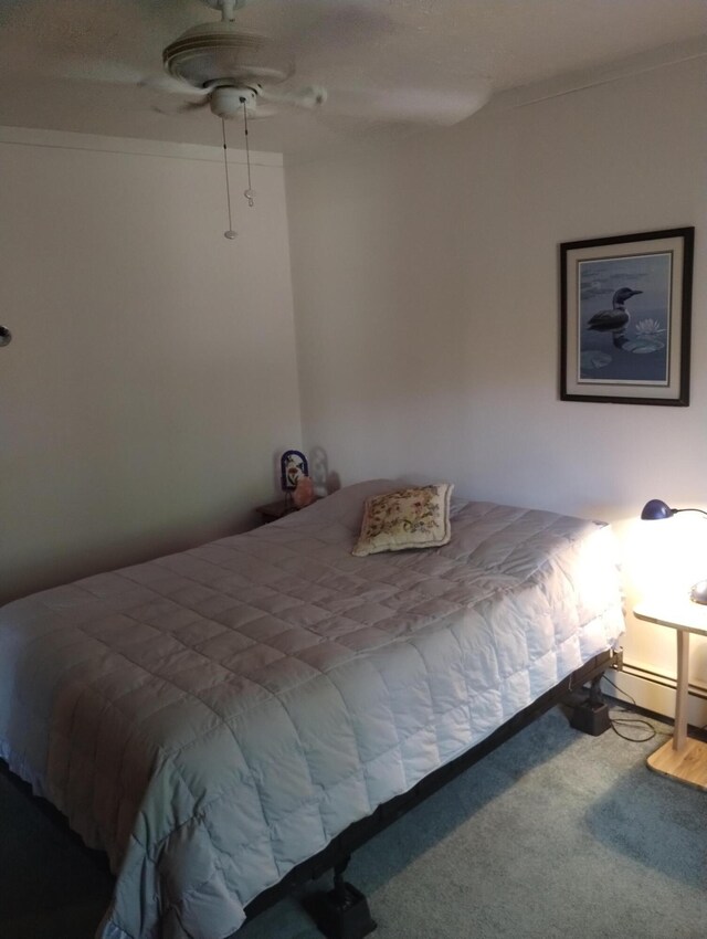 19241 Pine Tree Ct, Hillman, MI 49746 - carpeted bedroom with a baseboard radiator and ceiling fan