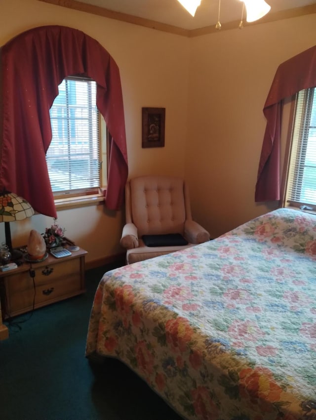 19241 Pine Tree Ct, Hillman, MI 49746 - bedroom featuring multiple windows and carpet