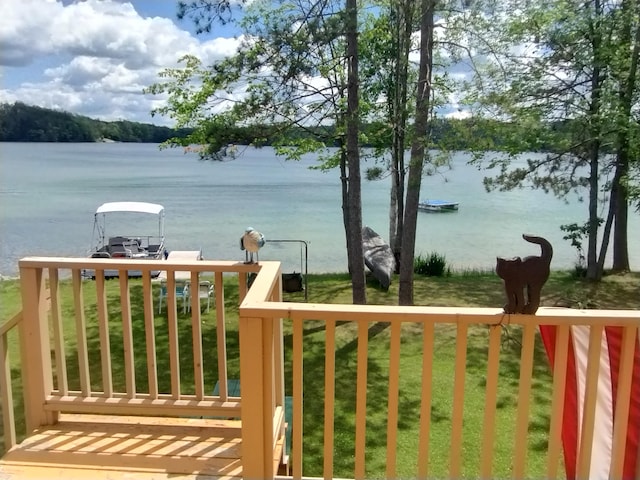 19241 Pine Tree Ct, Hillman, MI 49746 - water view