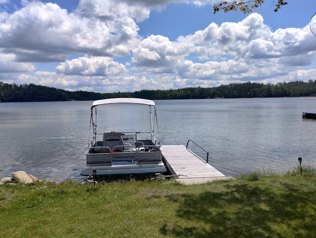 19241 Pine Tree Ct, Hillman, MI 49746 - dock area with a water view and a view of trees