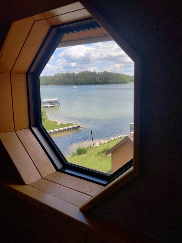 19241 Pine Tree Ct, Hillman, MI 49746 - water view