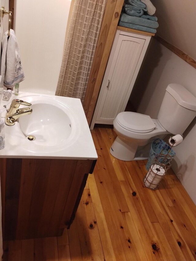 19241 Pine Tree Ct, Hillman, MI 49746 - bathroom featuring wood finished floors and vanity