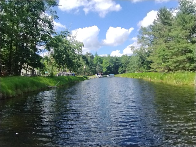 19241 Pine Tree Ct, Hillman, MI 49746 - water view