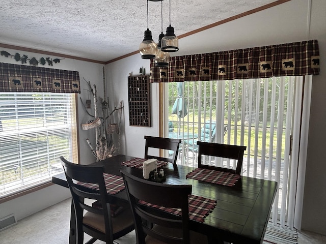 3508 Brodie Rd, South Branch, MI 48761 - photo 4