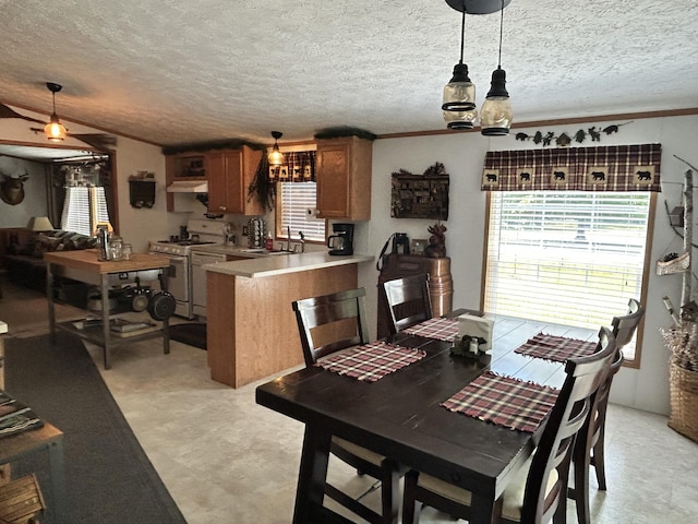 3508 Brodie Rd, South Branch, MI 48761 - photo 5