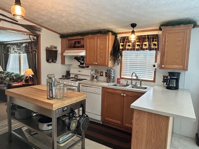 3508 Brodie Rd, South Branch, MI 48761 - photo 6