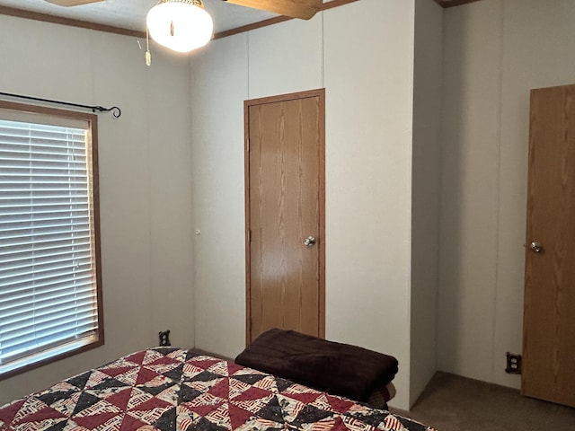 3508 Brodie Rd, South Branch, MI 48761 - photo 16