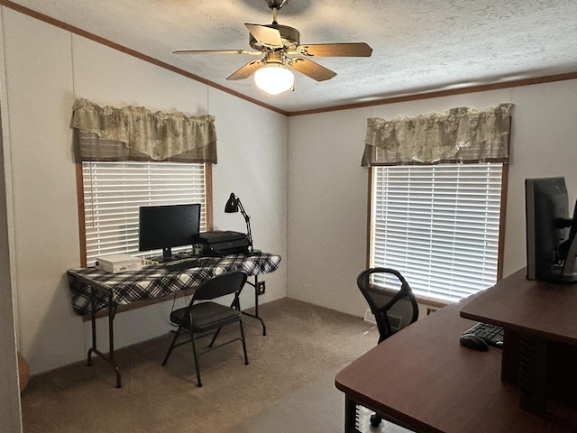 3508 Brodie Rd, South Branch, MI 48761 - photo 19