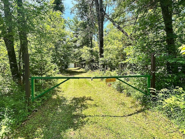 3508 Brodie Rd, South Branch, MI 48761 - photo 32