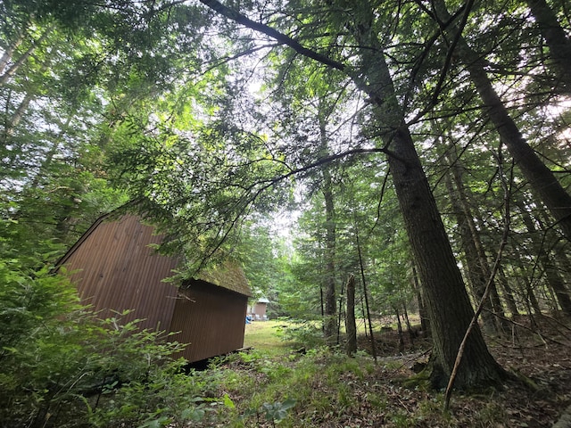 1987 N Galbraith Rd, Mio, MI 48647 - view of yard featuring a forest view and a storage unit