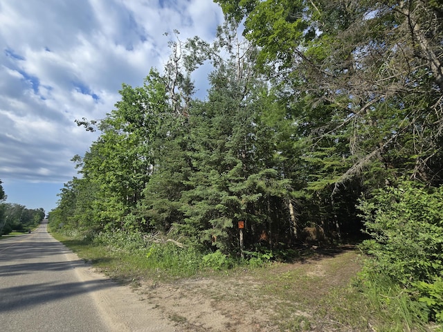 1987 N Galbraith Rd, Mio, MI 48647 - view of asphalt street