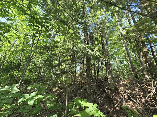 1987 N Galbraith Rd, Mio, MI 48647 - view of undeveloped land