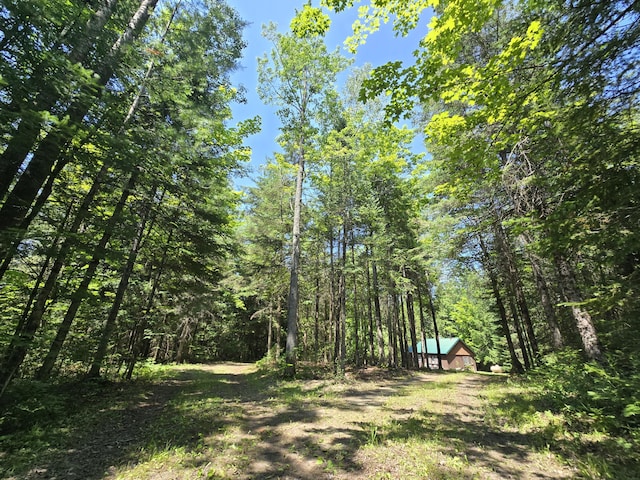1987 N Galbraith Rd, Mio, MI 48647 - view of yard featuring a wooded view and an outbuilding