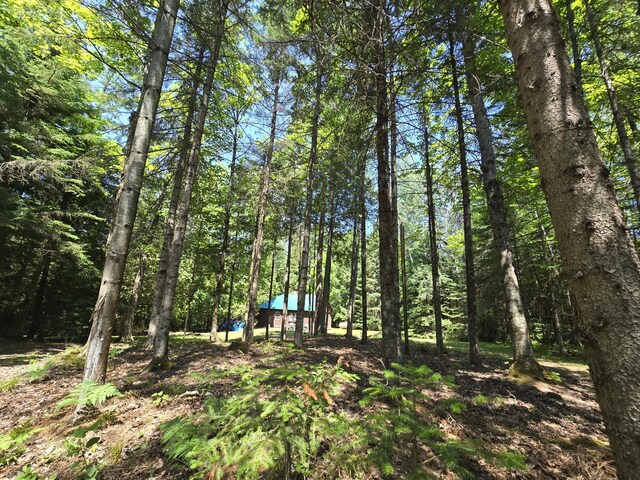 1987 N Galbraith Rd, Mio, MI 48647 - view of local wilderness