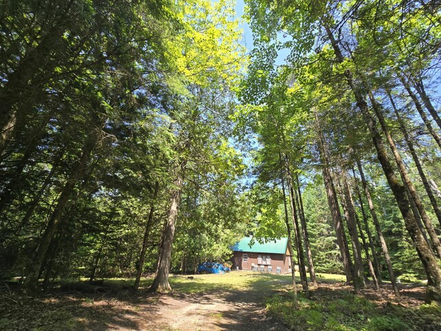1987 N Galbraith Rd, Mio, MI 48647 - view of yard