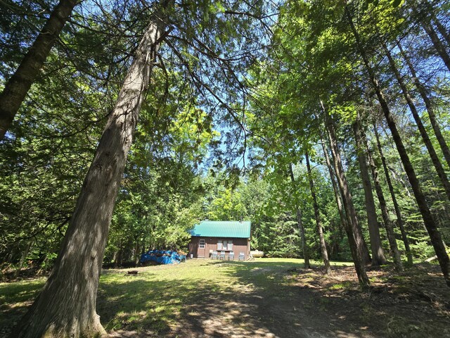 1987 N Galbraith Rd, Mio, MI 48647 - view of grassy yard featuring a forest view